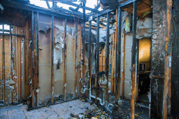 Professional Fire Damage Removal technician working in Terrytown, LA